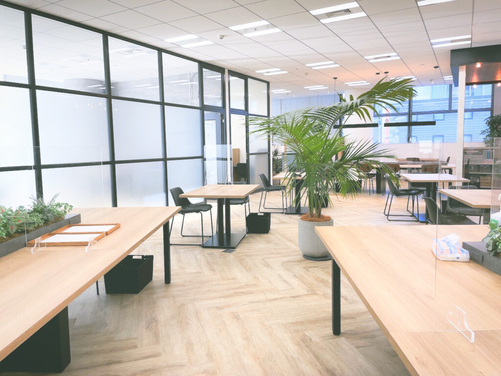 ENGLISH COMPANY（イングリッシュカンパニー）英語コーチング体験談口コミレポ